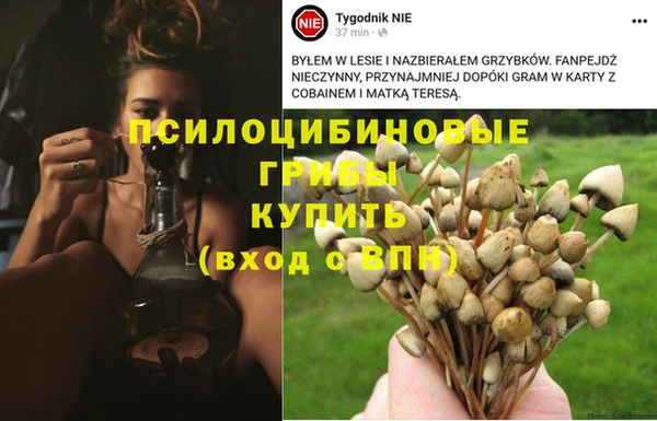 героин Козловка