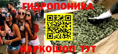 мдпв Ярославль