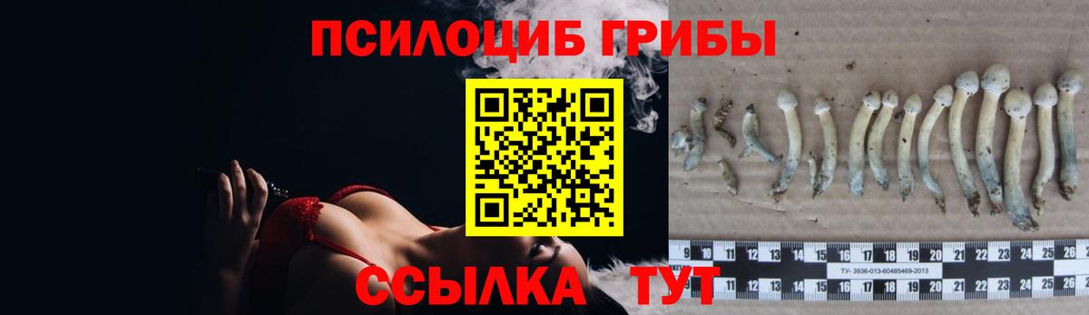 Галлюциногенные грибы Cubensis  Галлюциногенные грибы Cubensis  Саки  закладки  Вход с VPN 